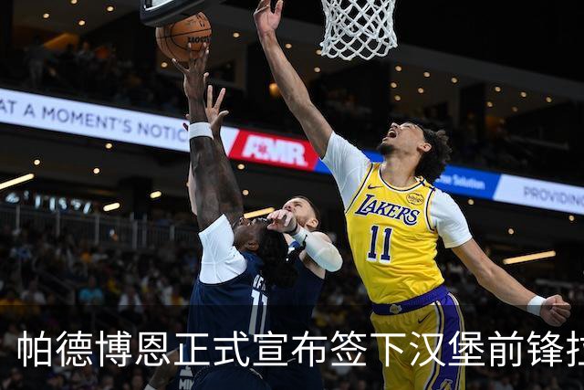 帕德博恩正式宣布签下汉堡前锋拉扬-菲利佩